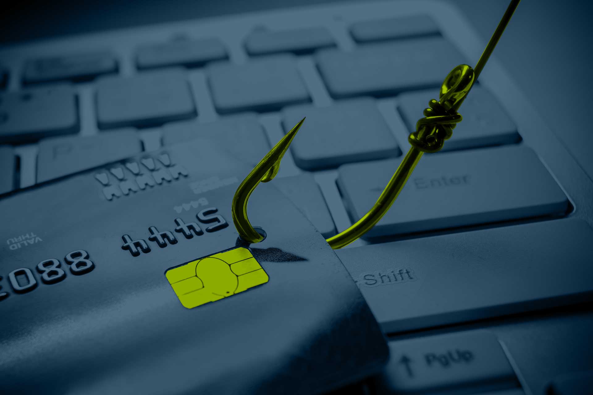 Phishing is BIG game