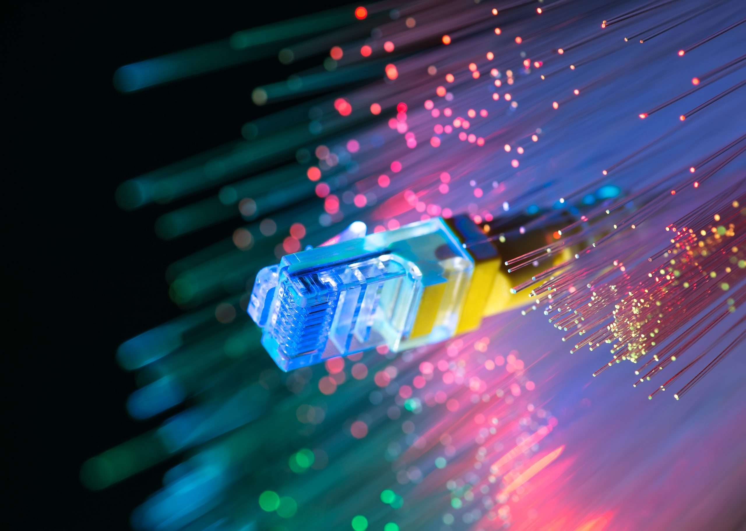Optical fibre cables and a network cable close up