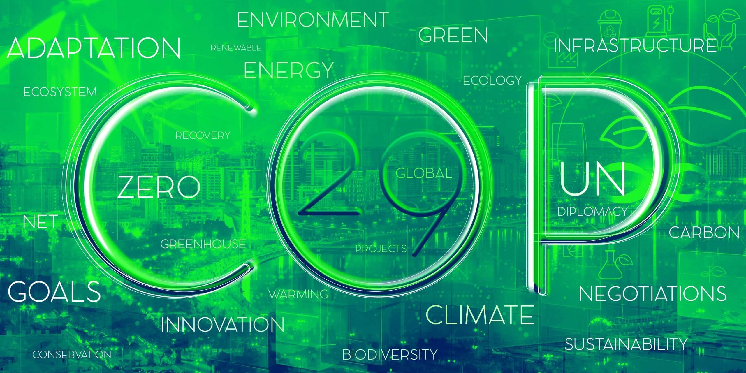 COP29